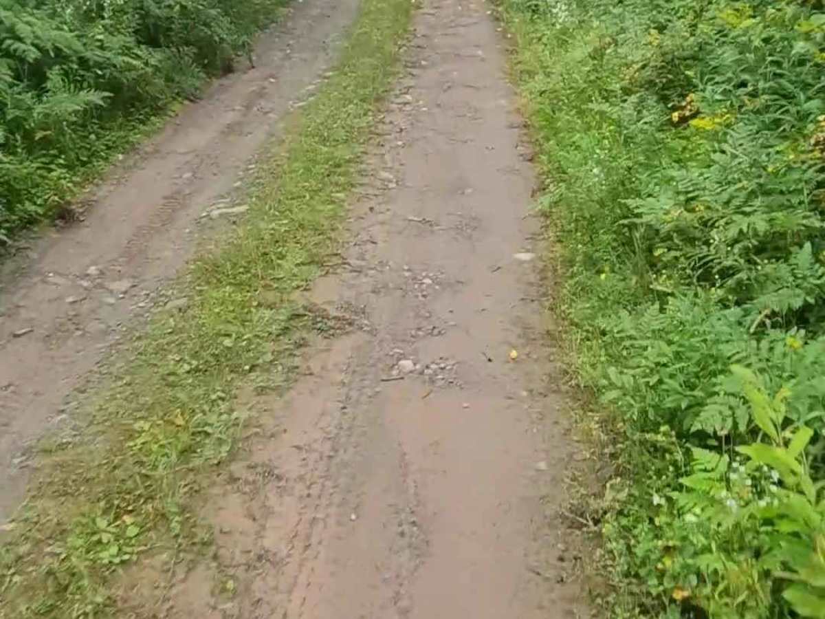 Lukes Road photo 5