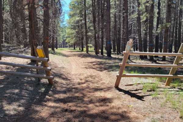 Uinta Loop 1