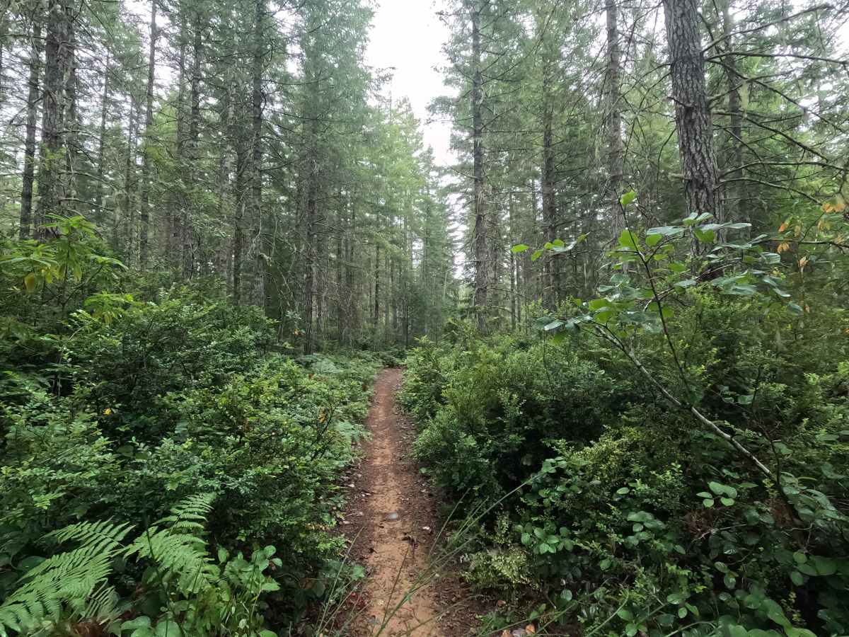 UB Lost Trail photo 3