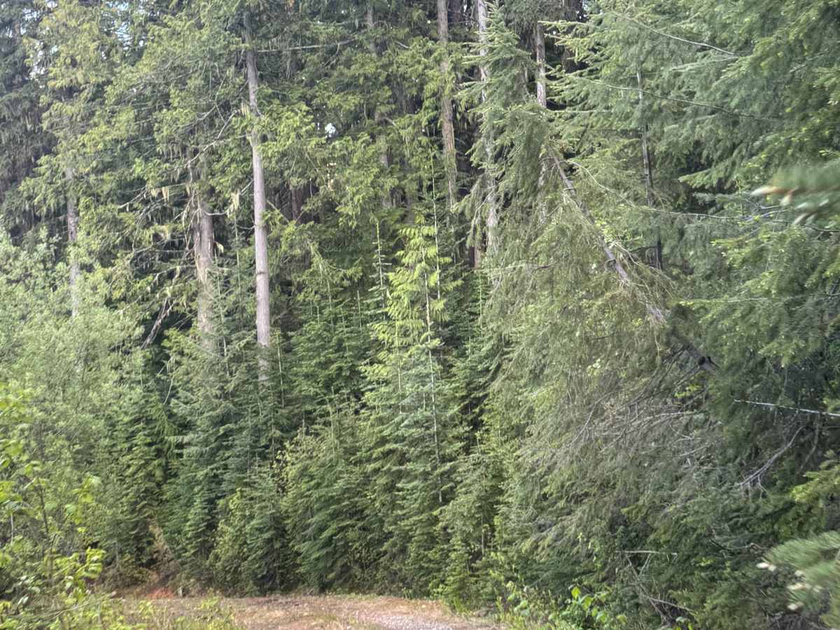Snyder Ridge - FS 3300-052 photo 3