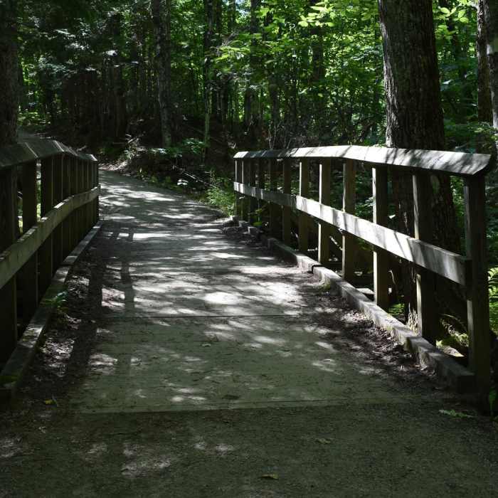 Near Hike to Laughing Whitefish Falls Near Hike to Laughing Whitefish Falls