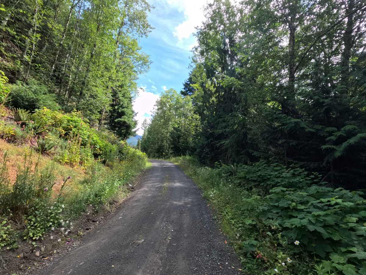 Clearwater Creek Mainline photo 6