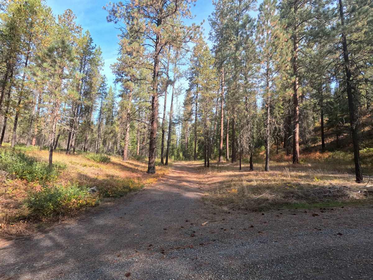 Winslow Camp Road trail photo