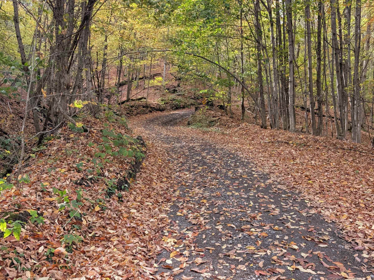 Catherineville State Forest Road trail photo