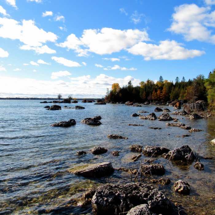 Near Bush Bay Hiking Trail (Narnia Trail)