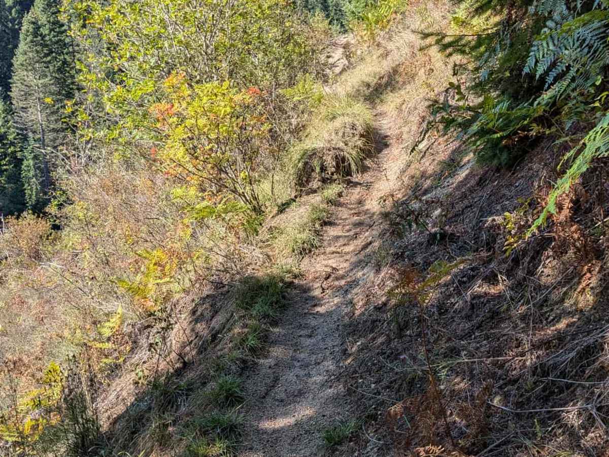 Fish Creek photo 5