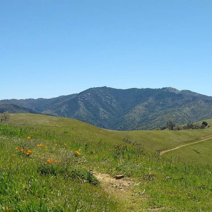 Near Antler Point Trail