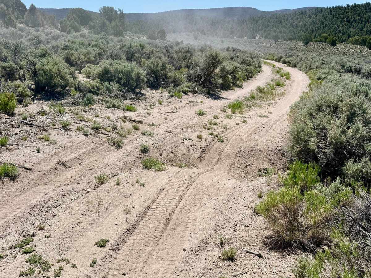 South Brock Canyon - FS 43513 photo 3