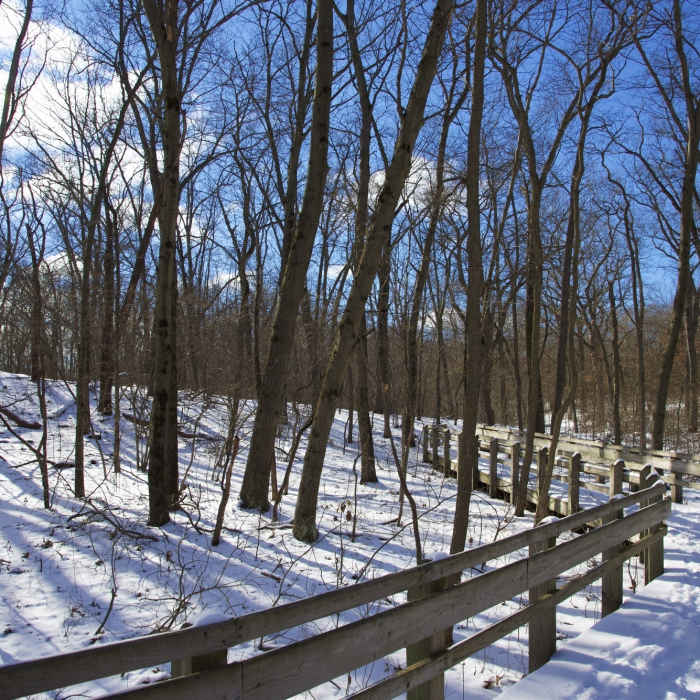 Calumet Dunes trail boardwalk on a gorgeous winter day. Near Glenwood Dunes Trail
