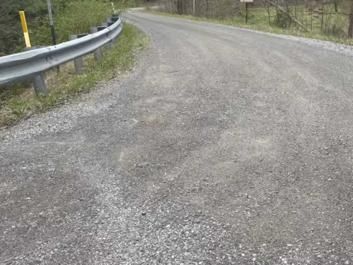 Hemlock Run - FS 267 trail photo