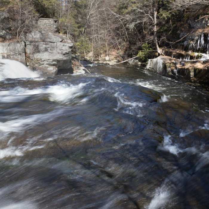 Near Shohola Falls Trail Near Shohola Falls Trail
