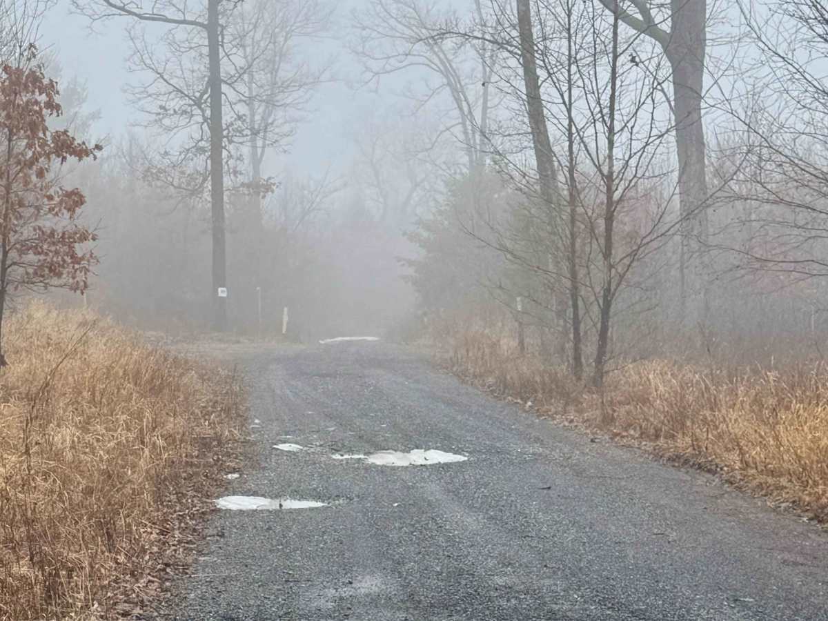 Eagleton Run Trail photo 4