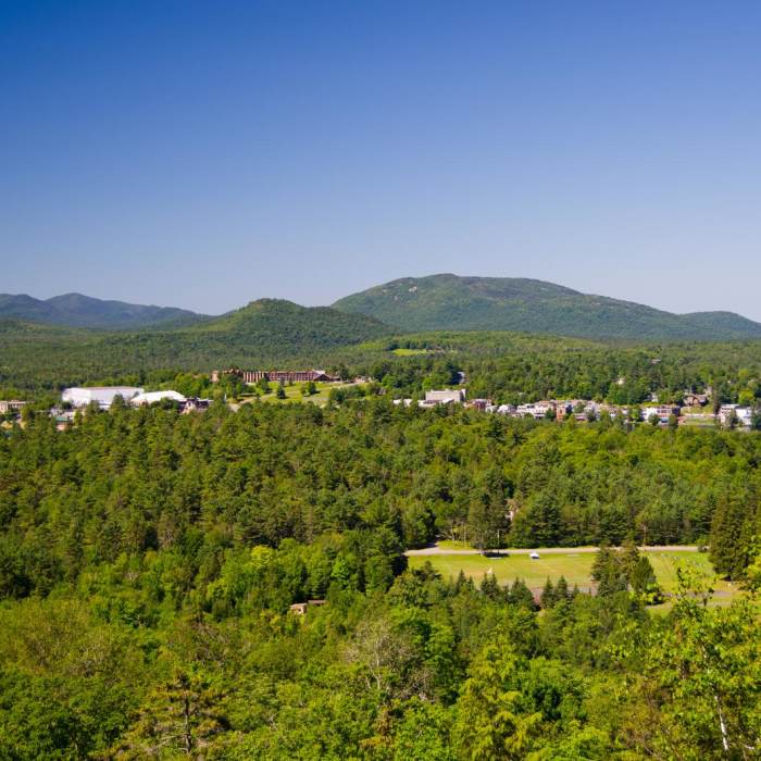 Near Cobble Hill Near Cobble Hill