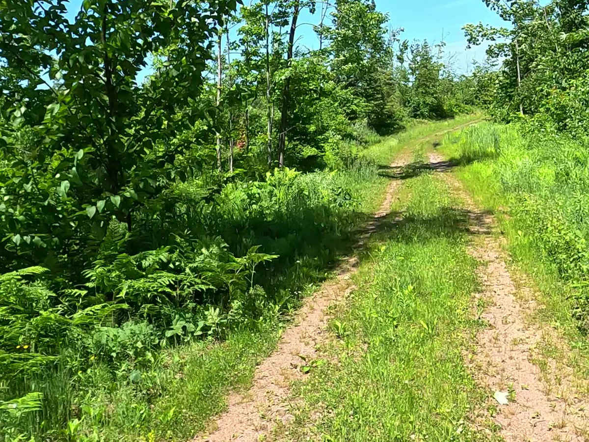 L'Anse Reservation Spur photo 4
