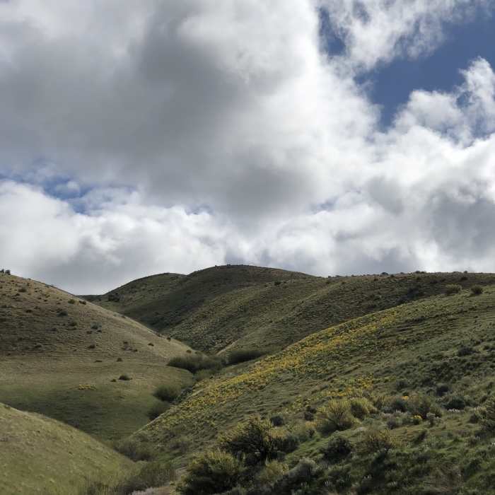 Near Homestead Trail #12