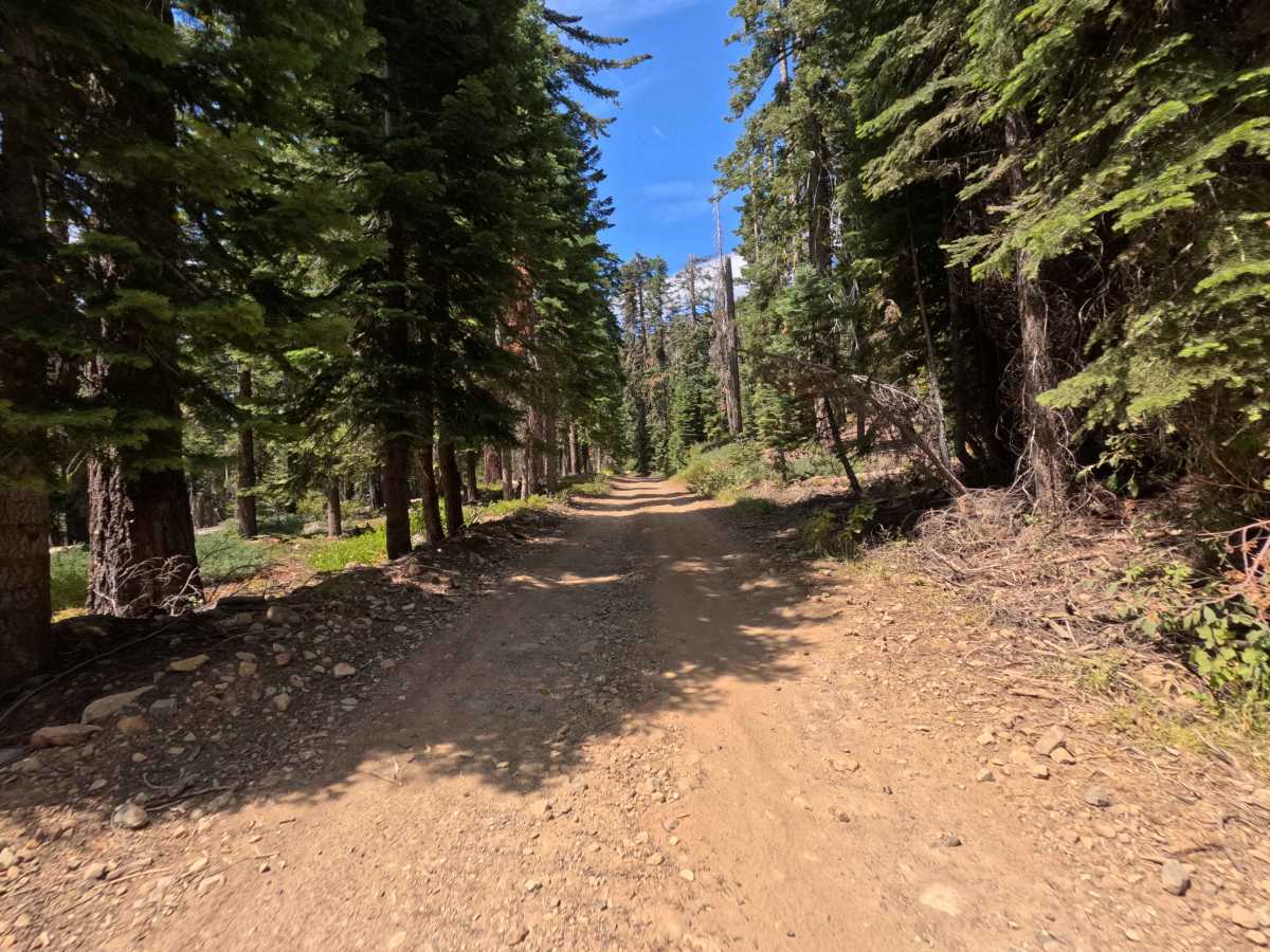 Big Creek Fire Road - North - FS 5S048 photo 5