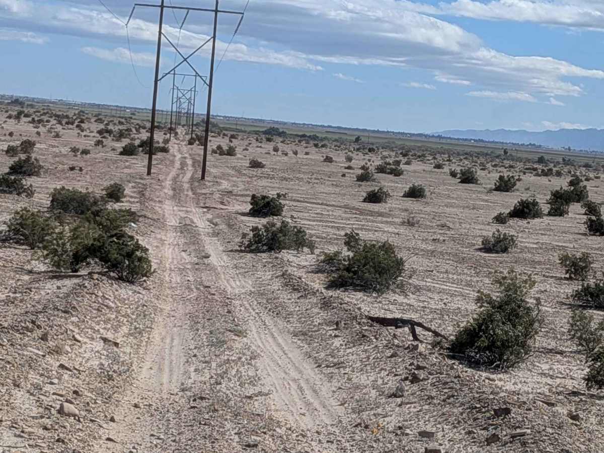 BLM 326 SE photo 3