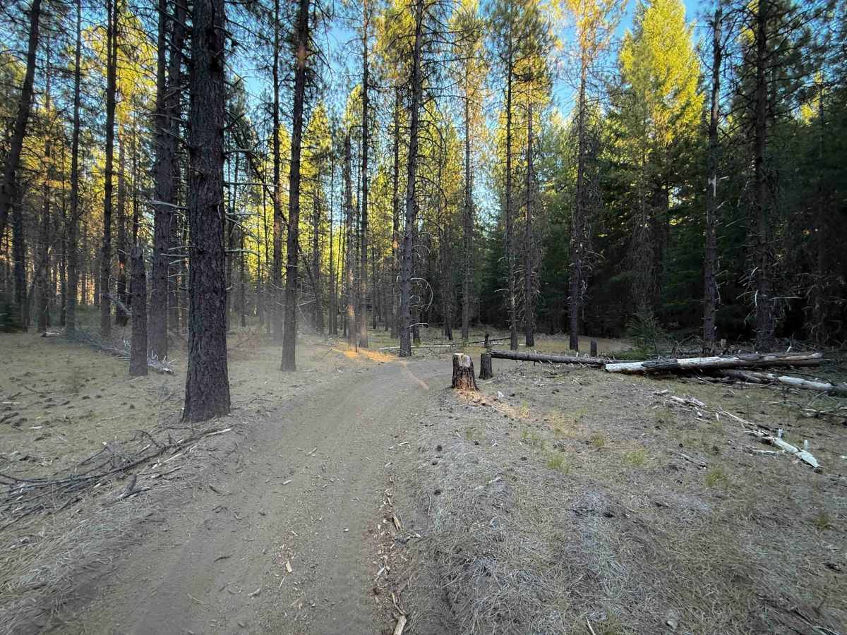 Boring Trail   photo 5