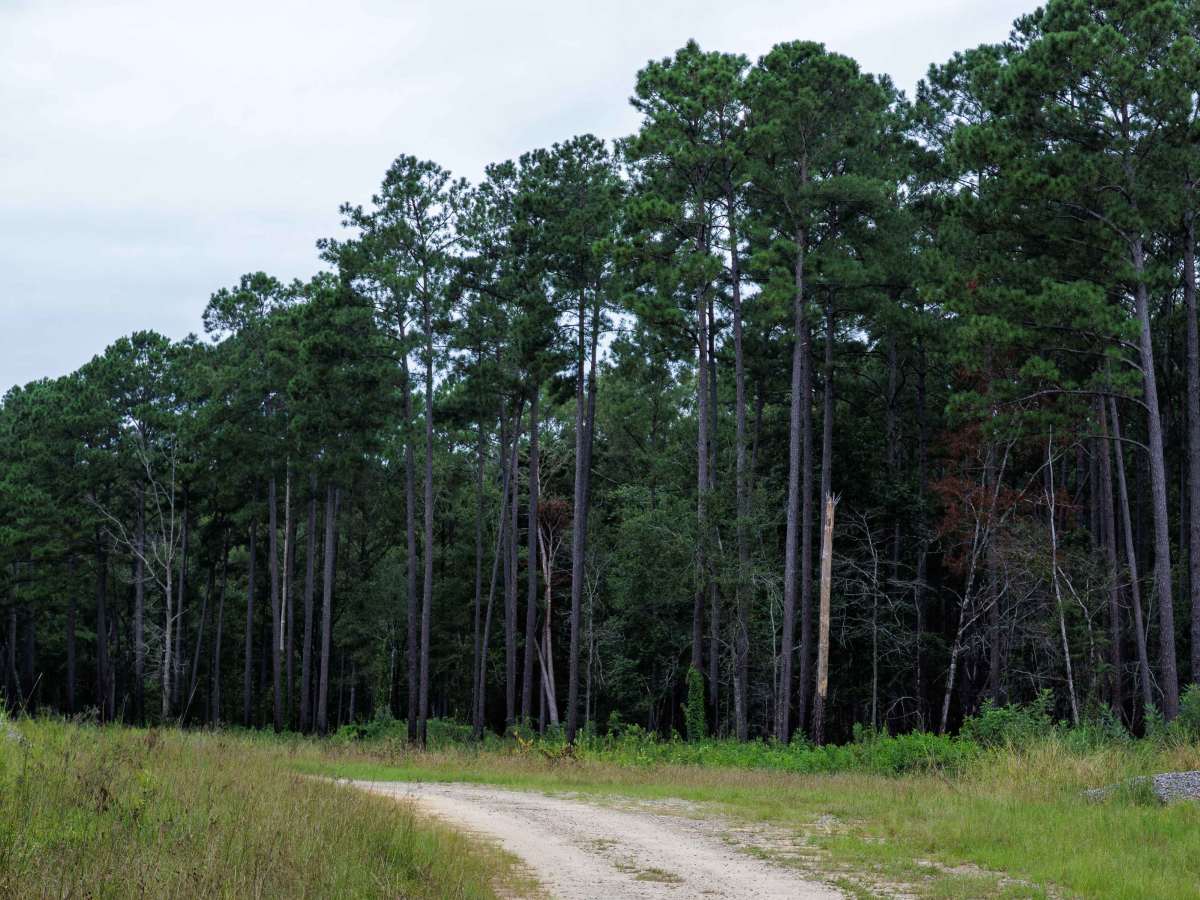 Clay Hill photo 2