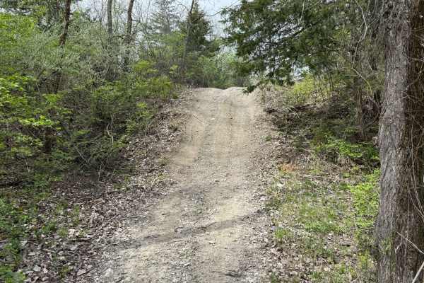 Trail #4