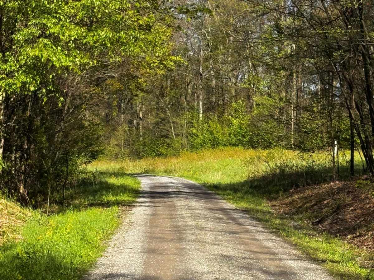 Colby Road photo 4