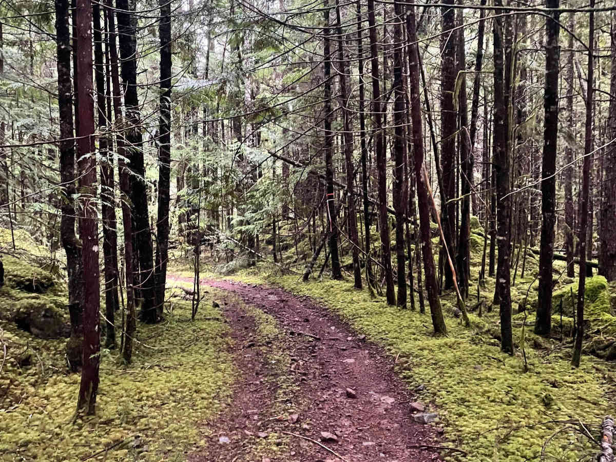 Doubletrack photo 6