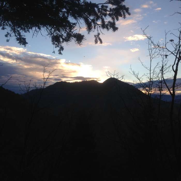 Near Leatham Hollow Trail