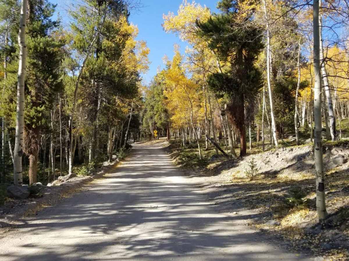 Old Chalk Rd (Co Rd 292) photo 4