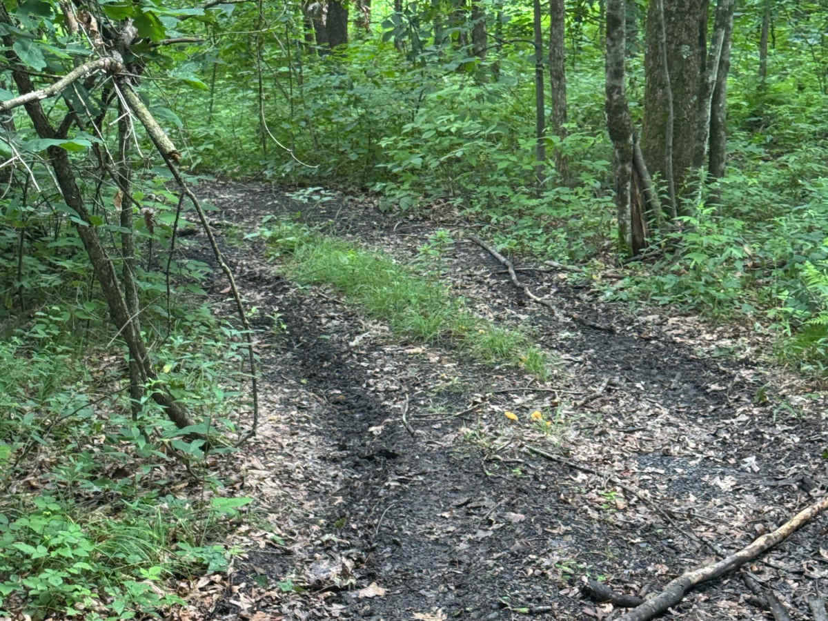 Trail 90 photo 3