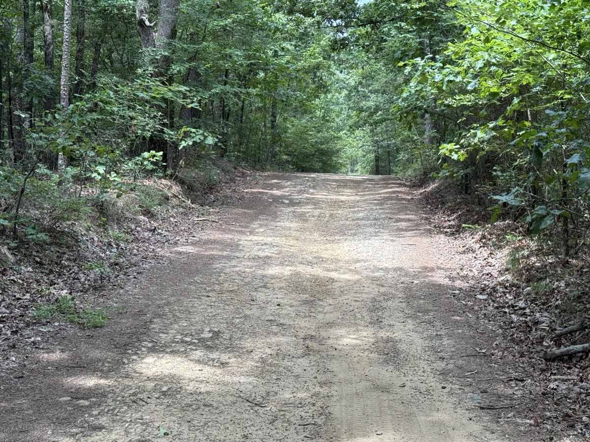Polk County Road 36 photo 5