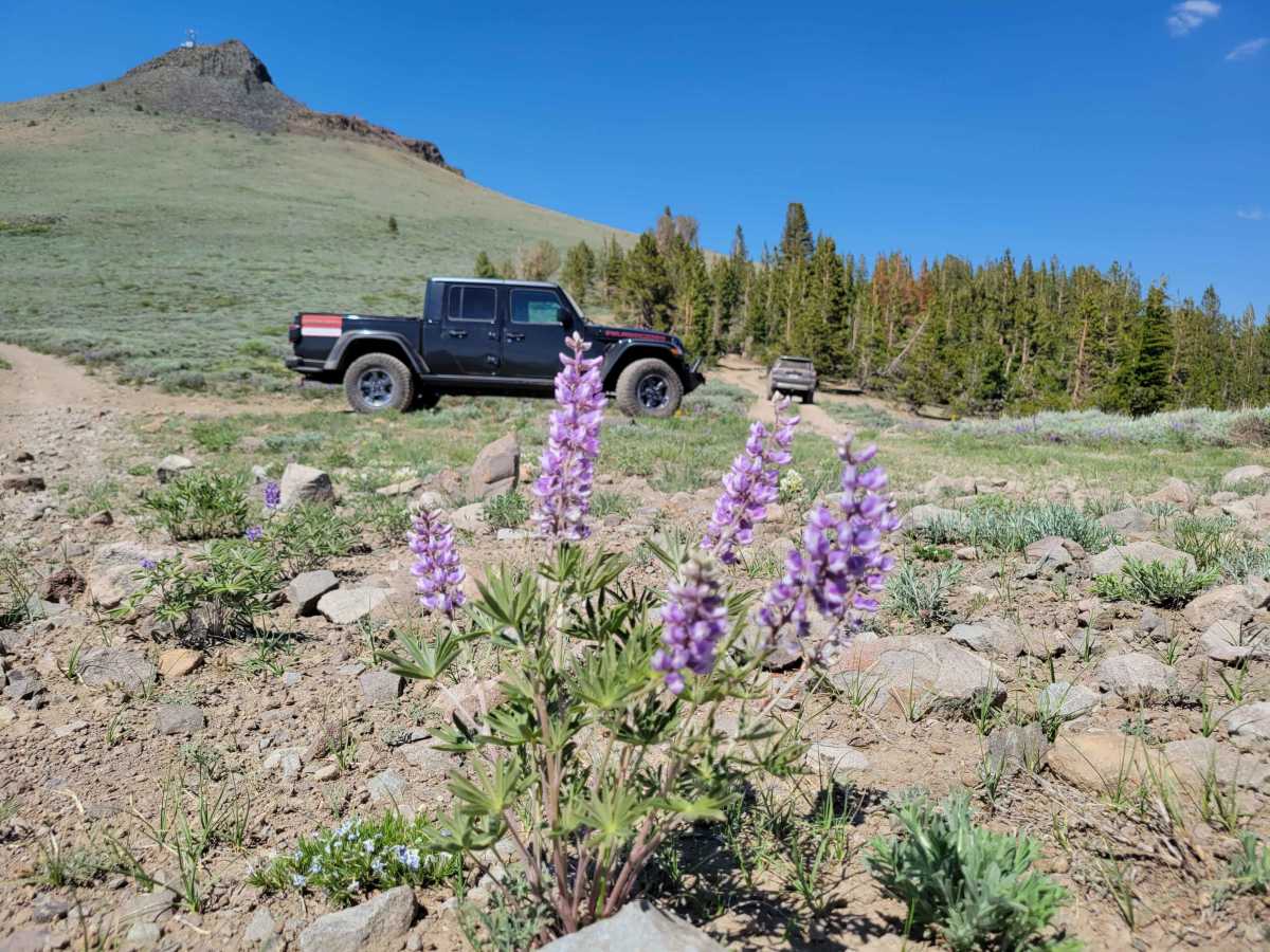 Hawkins Peak Road photo 6