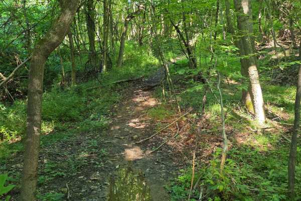 Single Track C4