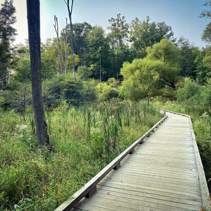 Near Old Ironsides Run