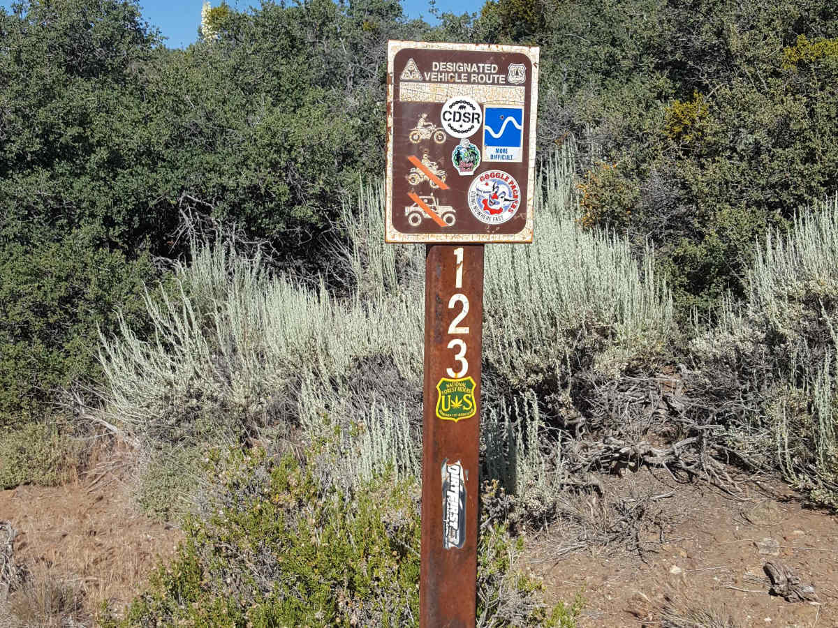 Long Dave - FS 19W17 trail photo