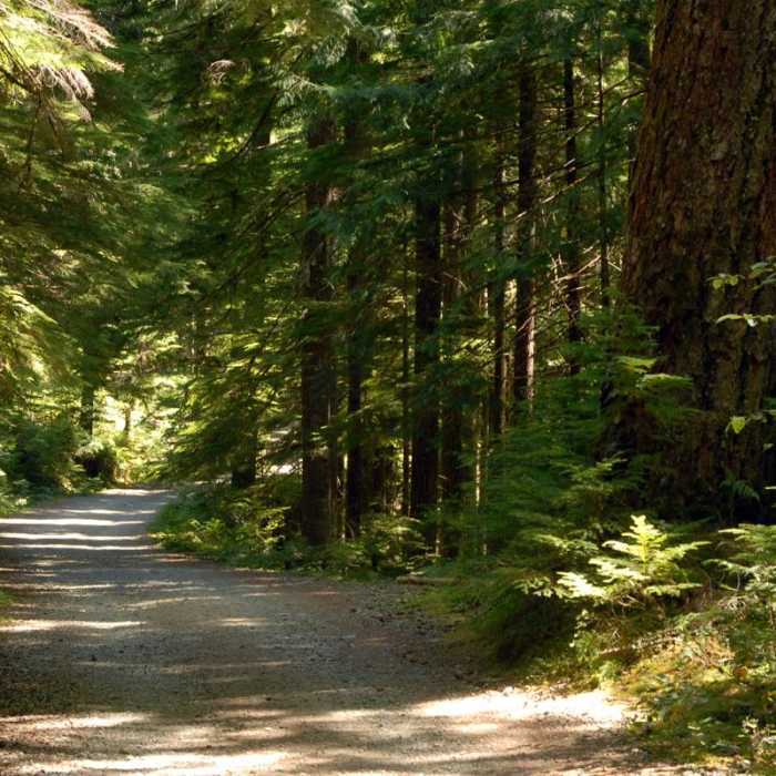 Near Opal Creek Hiking Trail