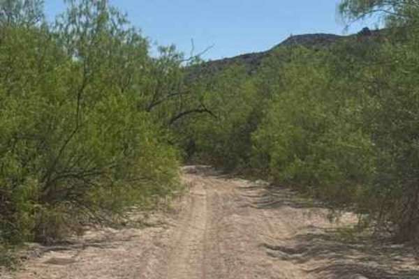 Sheppard Wash Trail 