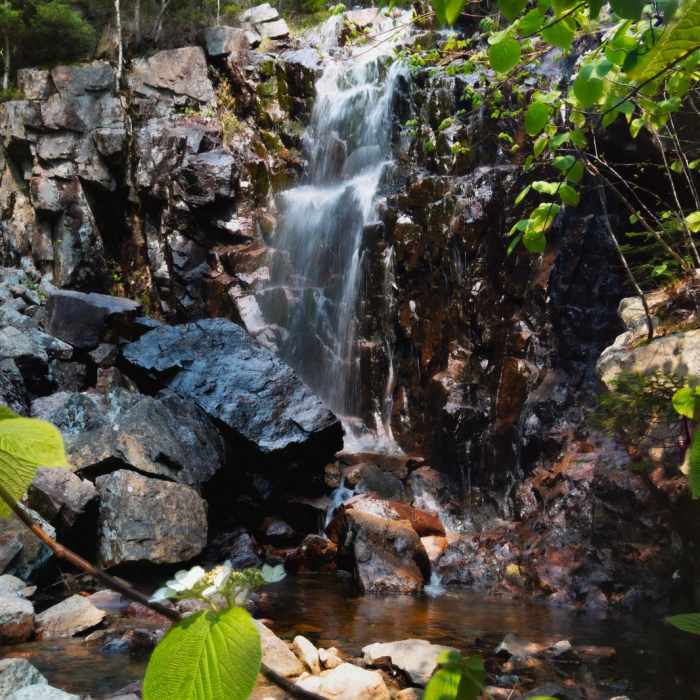 Near Hadlock + Waterfall + Hemlock Bridges Hike