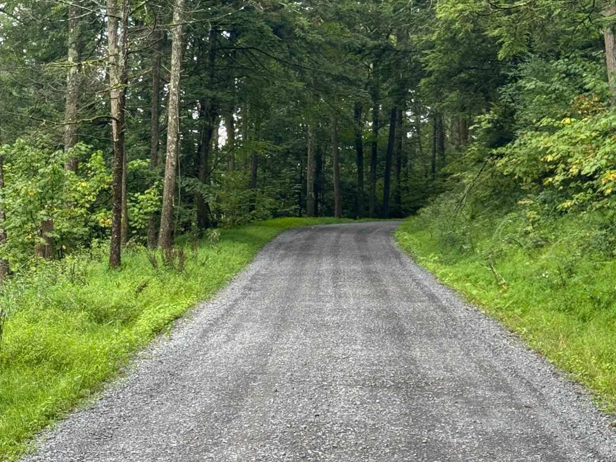 Holmes Hollow Road photo 6