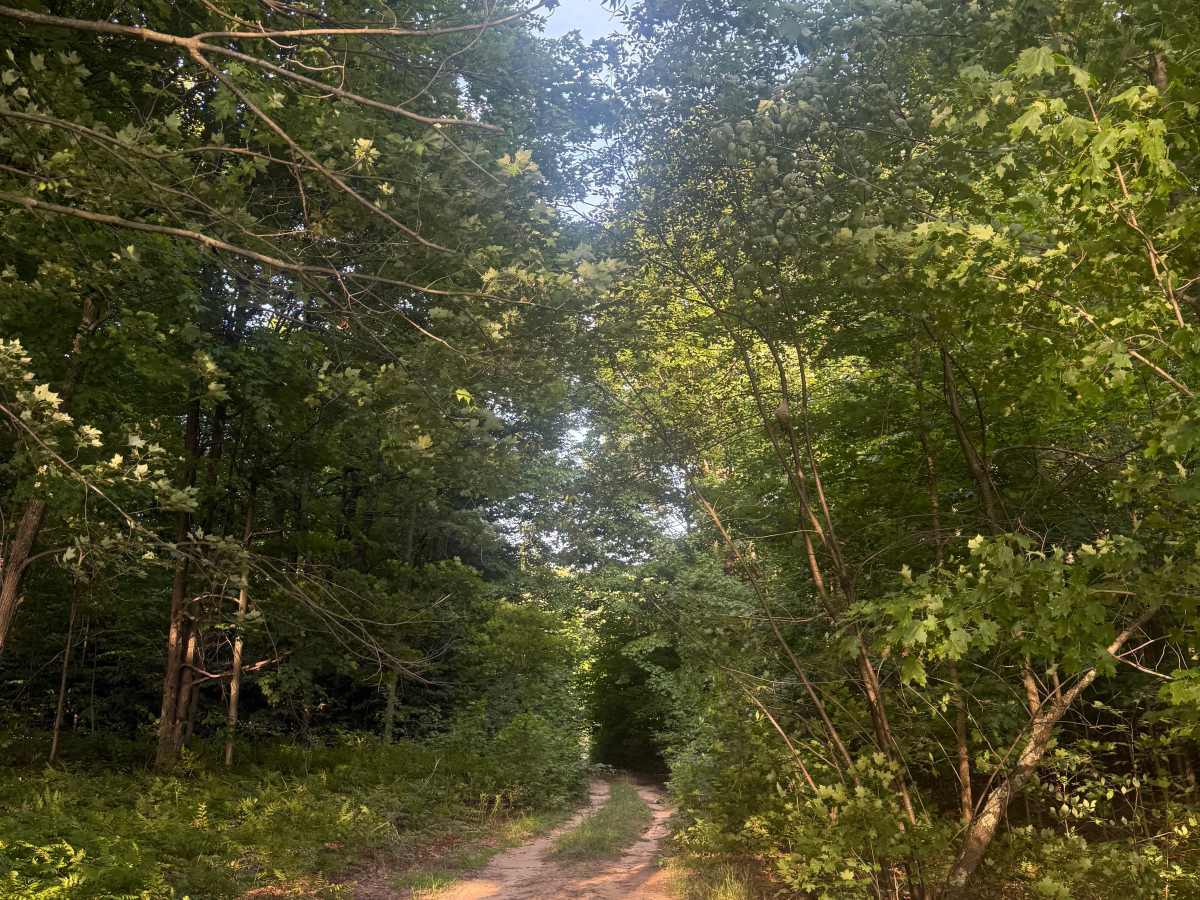 3 Powerline Trail photo 3
