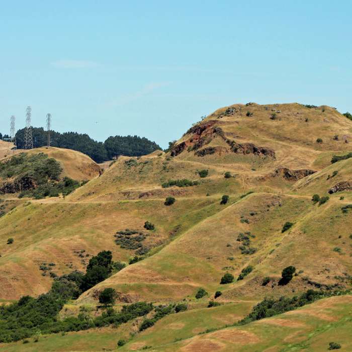 Near Skyline Trail: Sibley - Huckleberry