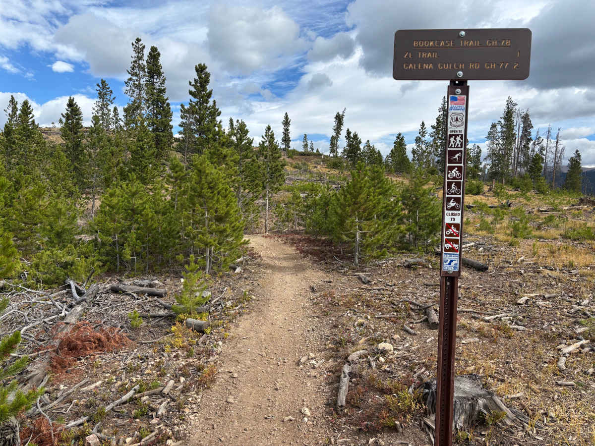Book Case trail photo