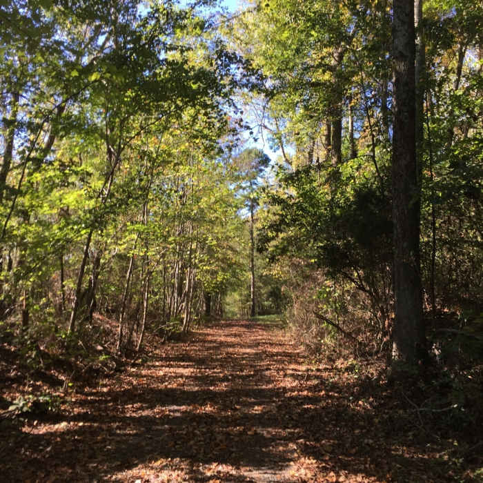 Near Gold Hill Rail Trail