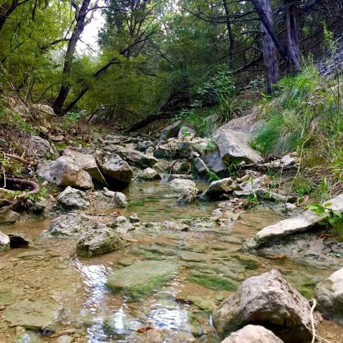 Near Lakeside Greenbelt Trail