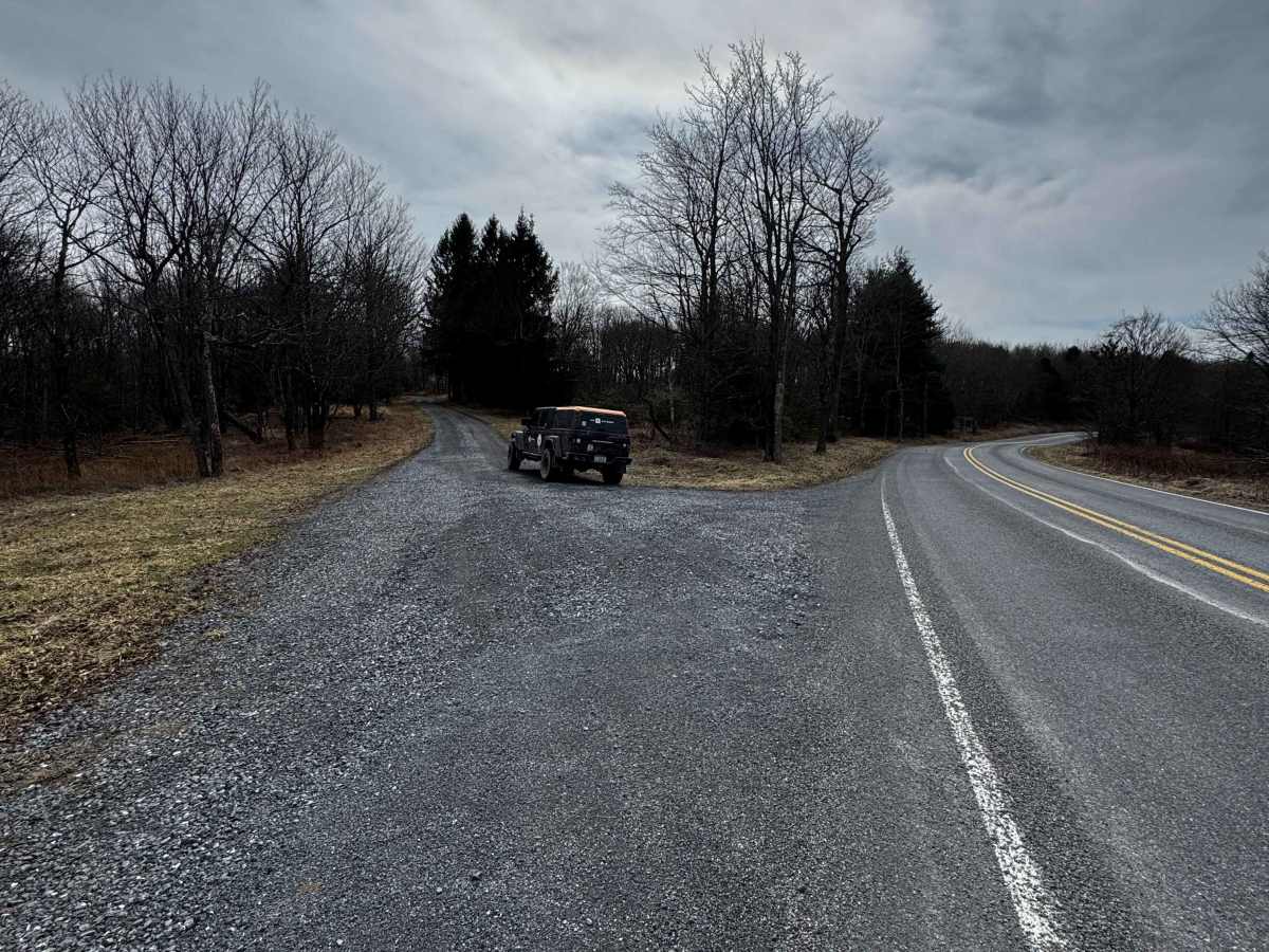 Swamp Branch Road photo 2