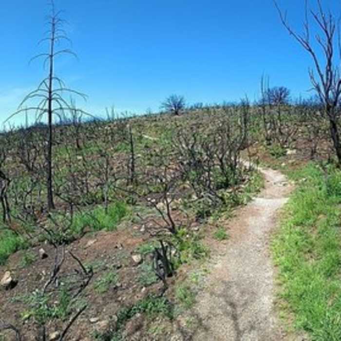 Near Bald Mountain Loop