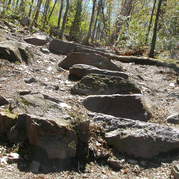 Steps on Devil's Chair Trail Near Mount Philo Loop