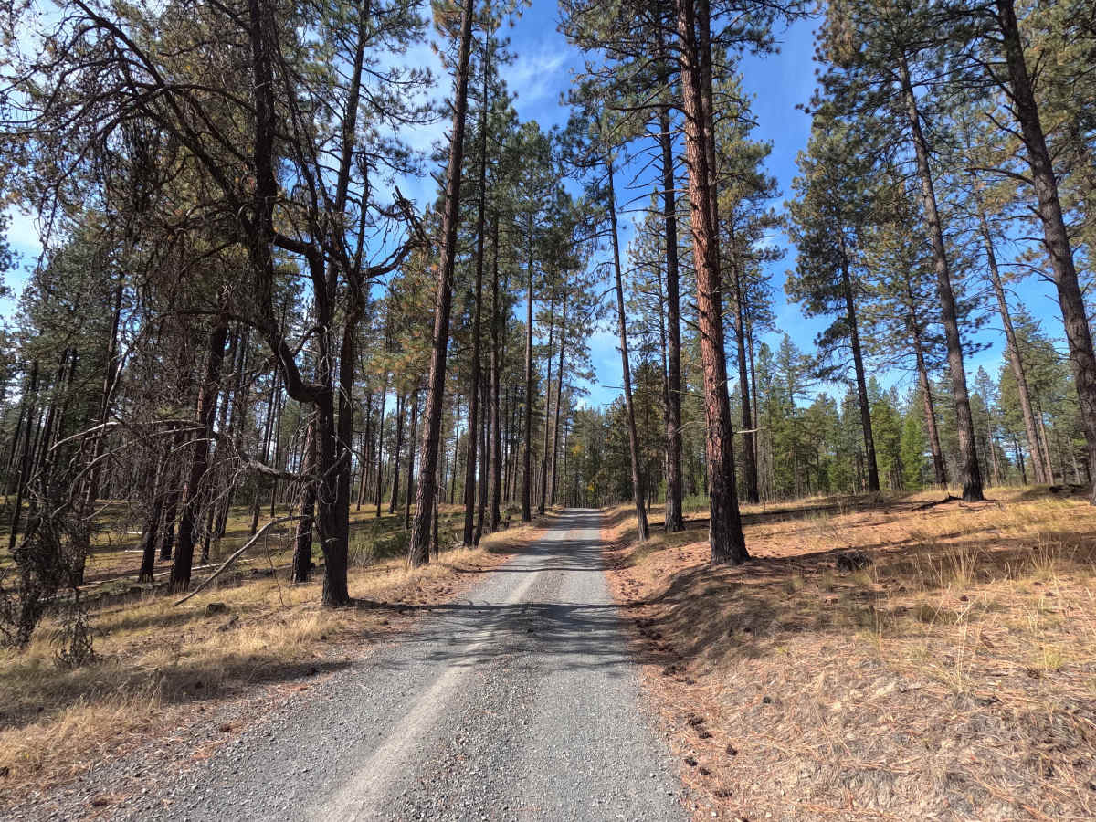 Starvation Flat Road photo 2
