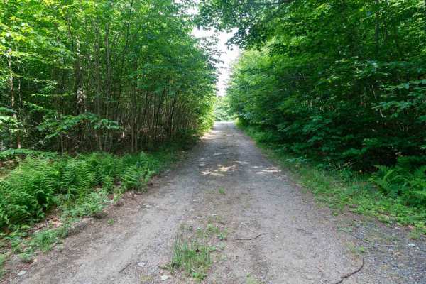 Deer Pond Road