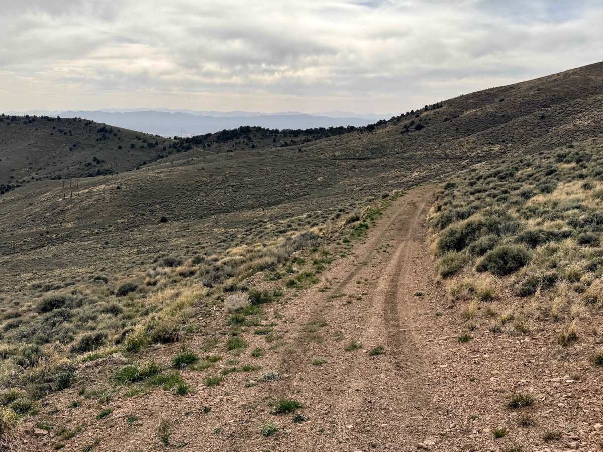 Willow Creek Loop (FS43493) photo 3