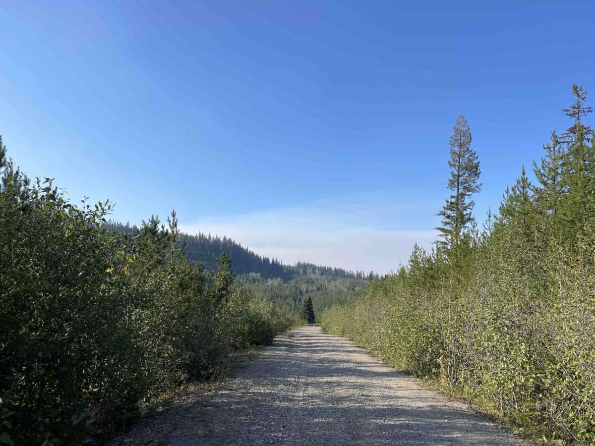 Loop Road photo 2